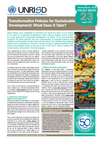 Transformative Policies for Sustainable Development: What Does It Take?